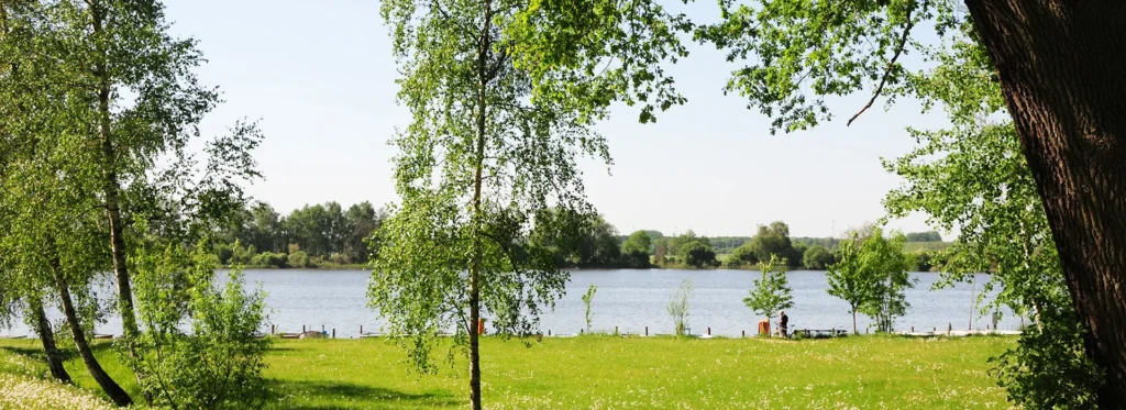 Grüner Park am See